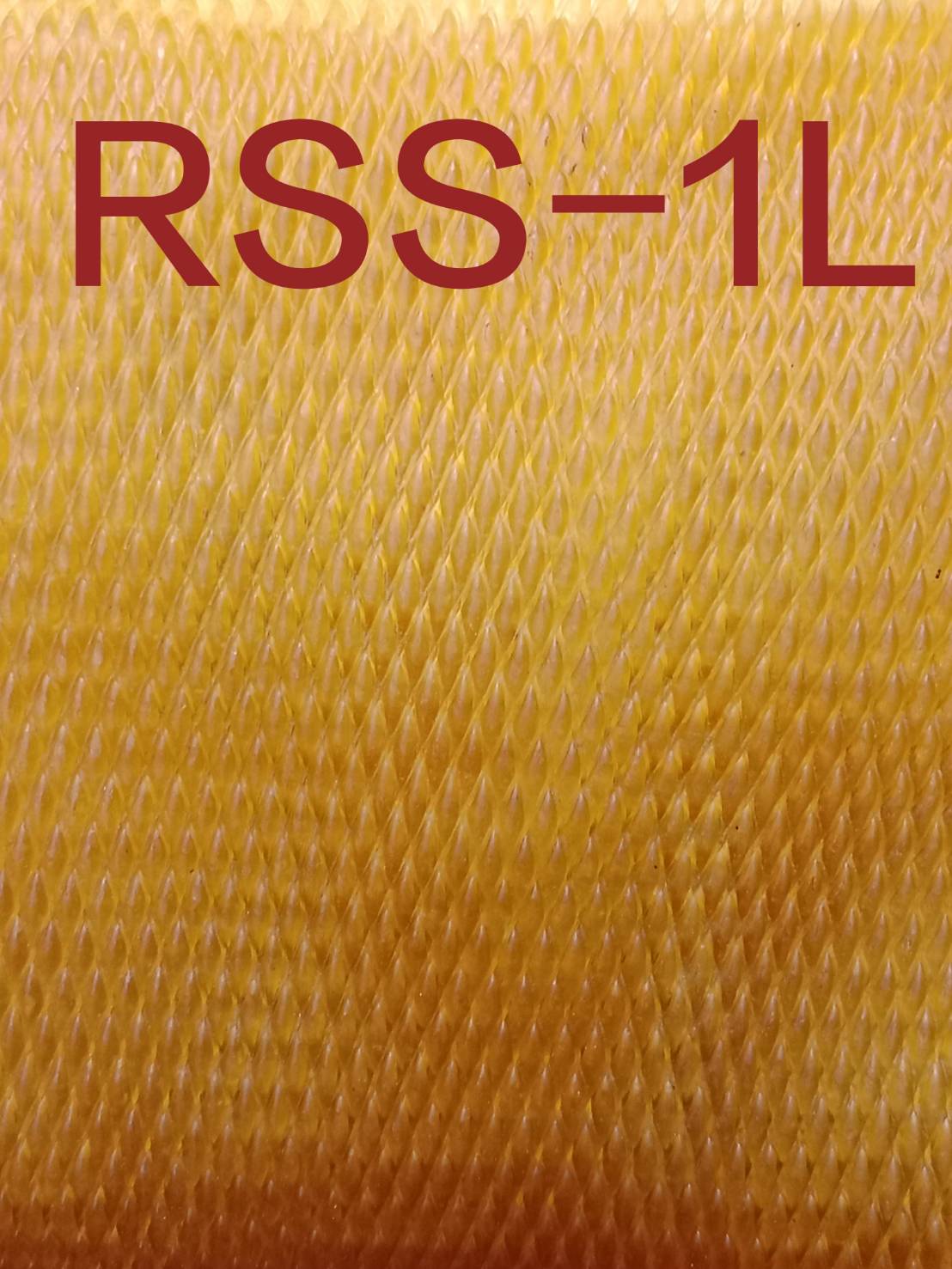 RSS-1L
